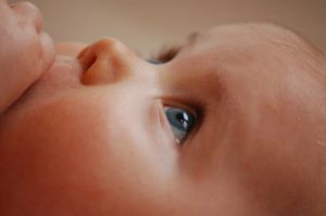 el mejor comienzo para tu bebé con un programa de estímulos correctos